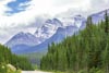 Icefield Parkway Near Lake Louise by Bruce Haanstra