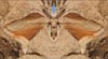 Moth Man by Bruce Haanstra